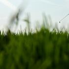 Rory McIlroy throws his club in frustration during a brutal day at the US Open at Oakmont. Photo:...