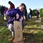 Lilyanna Eden, 13, plants a native tree at Rotary Park in Highcliff, Dunedin, on a chilly...