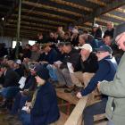 The grandstands were near capacity at the Limehills Polled Hereford Stud 46th annual bull sale....