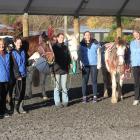 Volunteers at Dunedin Riding for the Disabled find value in helping others as well as making new...