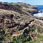 The popular walkway to Tunnel Beach, Dunedin, has been closed since October last year because of...
