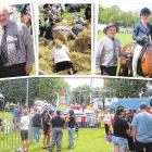 Volunteer-led A&amp;P shows such as the Gore A&amp;P Show and the Wyndham A&amp;P Show will...