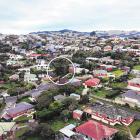 Margaret and Guy Cardno have asked the Dunedin City Council to remove a redwood tree from a list...