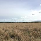 Environment Southland is selling land for $1 that it paid $650,000 for six years ago. PHOTO:...