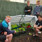 From left: Jake Corney, Cam Pooley, Angus Henry and Kieran Halforty. Photo: RNZ 