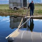 Bryan Rougham and "the toilet" wait for the whitebait to start running at his stand on the Taieri...