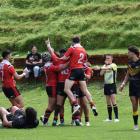 The Bulls, seen here celebrating a try against Wellington, will meet Counties Manukau at Auckland...