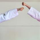 Dunedin taekwondo athletes Cody Thomson, 22, and Esme Liesbeth Blaker,16, are attending the ITF...