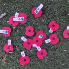 What of the poppies?