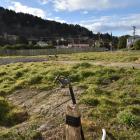 The vacant Albertson Ave site, Port Chalmers, where several state houses once stood. PHOTO:...
