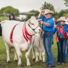 Silverstream Chandler exhibited by Anna Fisher, from Silverstream Charolais stud, won the supreme...
