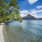 Homestead Bay. PHOTO: ODT FILES