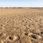 The UN has adopted a resolution around the Western Sahra. Photo: Getty Images