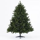 What gifts will be under the tree? PHOTO: GETTY IMAGES
