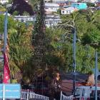 The Timaru Christmas tree has suffered some significant fire damage overnight. Photo: Timaru...