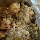 Some of the rancid lunches had already been eaten by students. Photo: Supplied