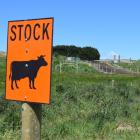 The government has approved the sale of three adjoining dairy farms in South Otago to overseas...