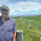 Mark Dowling views a trial native shelter-belt planted on his family’s farm near Wedderburn....