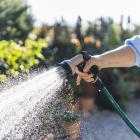 Use a handheld hose instead of a sprinkler when watering the garden. PHOTO: GETTY IMAGES