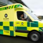 Photo: NZ Herald/file