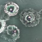 Port Otago vessels in a spin after greeting latest tug Otepoti yesterday. Boats are (from left)...