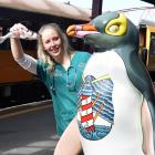 Photo: Stephen Jaquiery