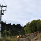 A log pile is all that remains of a stand of trees in Morris Rd, near Saddle Hill, where a...
