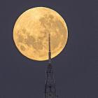 The moon looms huge and gold behind Kapukataumahaka Mt Cargill. PHOTO: IAN GRIFFIN