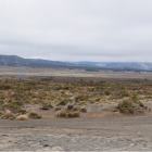 Desert Road. Photo: RNZ 