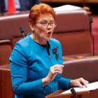 Support for Pauline Hanson's One Nation has risen four points to 31%, according to the poll....