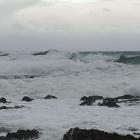 Rough swells churn on Wellington's south coast. Photo: RNZ (file)