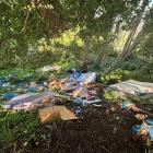 The aftermath of illegal dumping in the bush at Sturges Park in Otahuhu, Auckland. Photo: RNZ