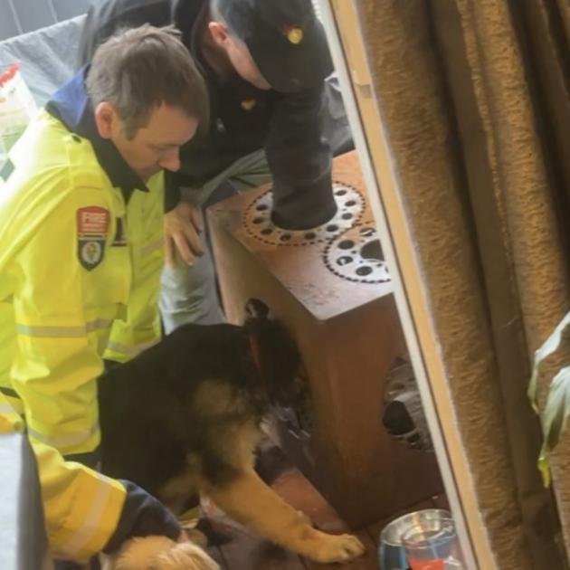 Ashburton firefighters working to free Storm. Photo: Supplied