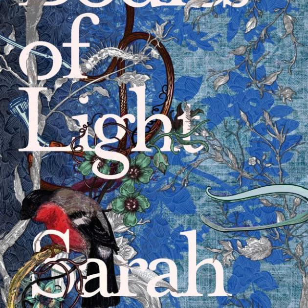 BODIES OF LIGHT<br><b>Sarah Moss</b><br><i>Granta</i>