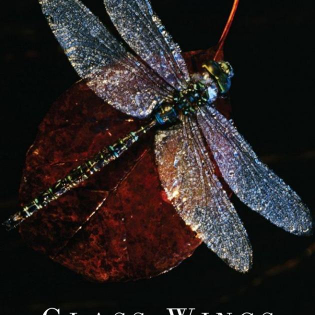 GLASS WINGS<br><b>Fleur Adcock</b><br><i>Victoria University Press</i>