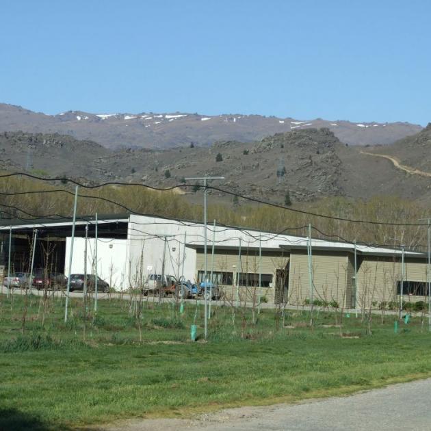  Summerfruit Orchards Ltd property, including a 50ha orchard and packhouse, is for sale by tender. Photo by Lynda Van Kempen.