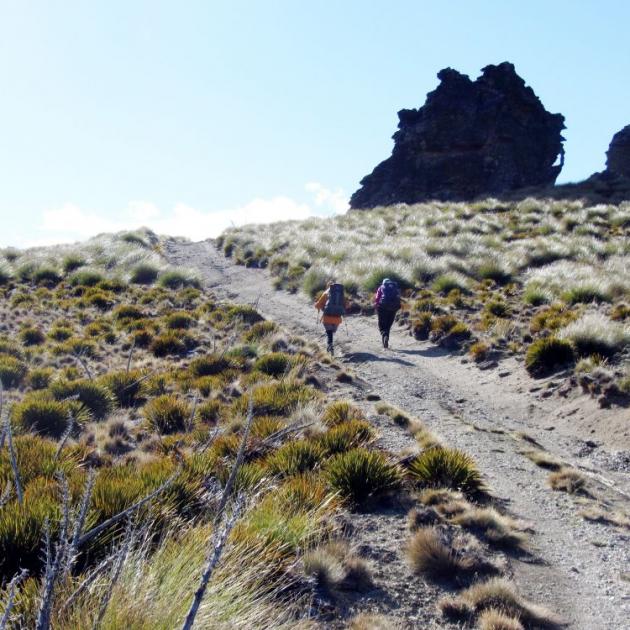 Trampers head across the tops on the Cromwell-Cardrona track. Photo: Upper Clutha Tramping Club