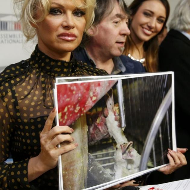 Pamela Anderson is against the force-feeding of ducks and geese. Photo: Reuters 