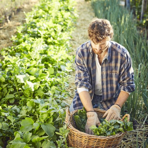 People are becoming more interested in sustainable diets. Photo: Getty Images 