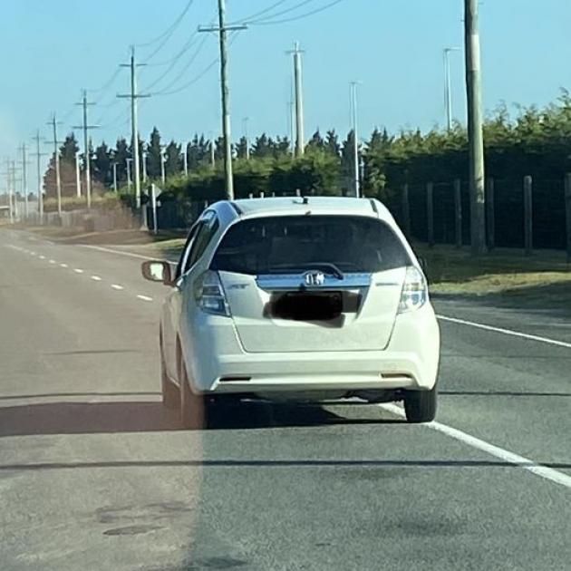 The driver of this car was seen veering onto the opposite side of the road to run over a pukeko...