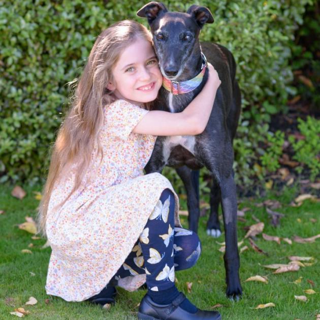 Adyson caring for her 20th greyhound, Zoomer. Photo: Supplied