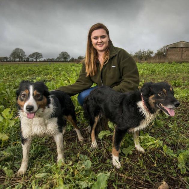  English shepherd Alex James with her dogs. PHOTO: WESTERN DAILY
