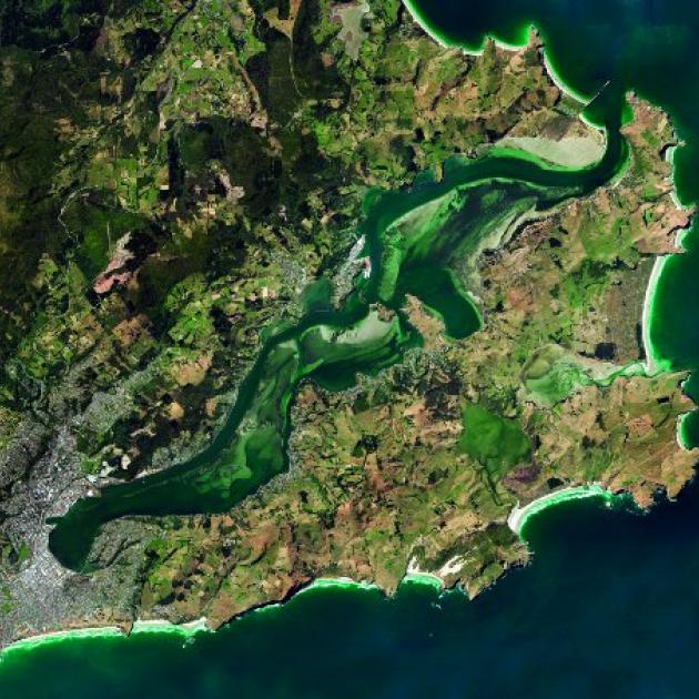 An aerial view of Otago Peninsula. PHOTO: LINZ