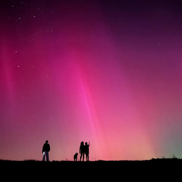 The aurora as it appears tonight over Shag Point. Photo: Al Hepburn