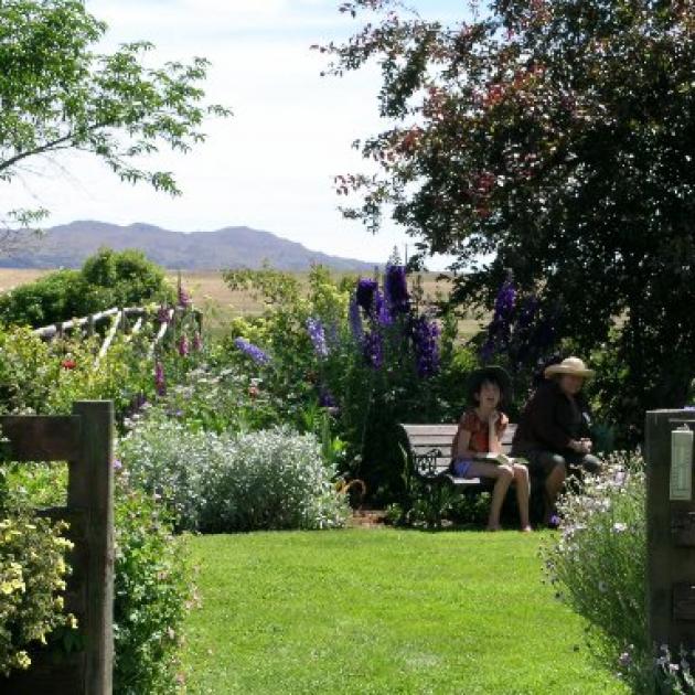 Colour-co-ordination is a feature of Cheryl Rutherford's garden.