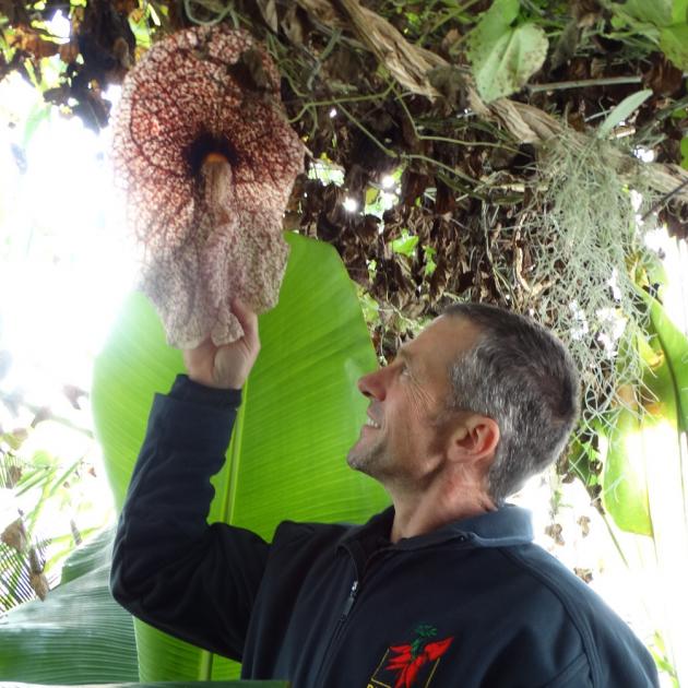 Dunedin Botanic Garden geographic and arboretum collections curator Dylan Norfield examines the...