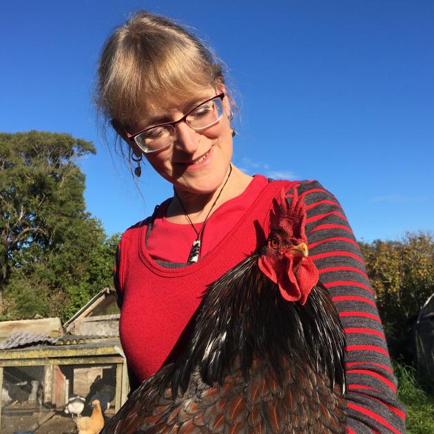 Dunedin Poultry Pigeon and Cagebird Club member Stefanie Kalmakoff prepares her barnvelder...