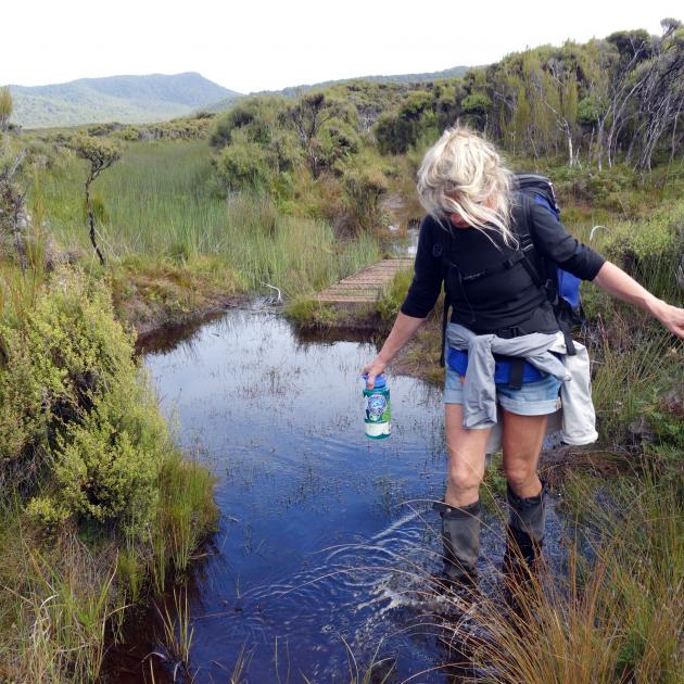 The track takes you through boggy wetlands, with mud up to your knees. Photo: Hayden Meikle