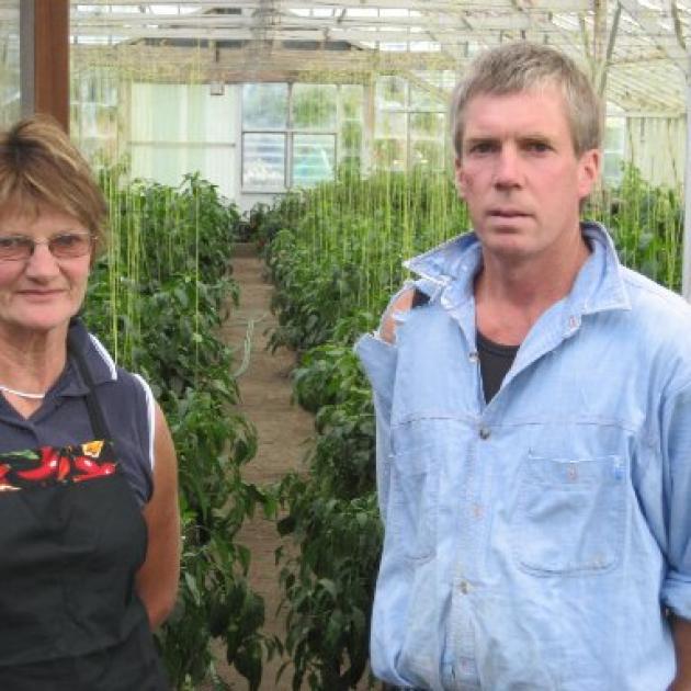Chilli indoors... Viviene Scott and Chris Larcombe by one of thier glasshouses.  Photo by Charmian Smith