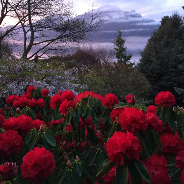 Chantecler garden. Photo by Mike Henry.